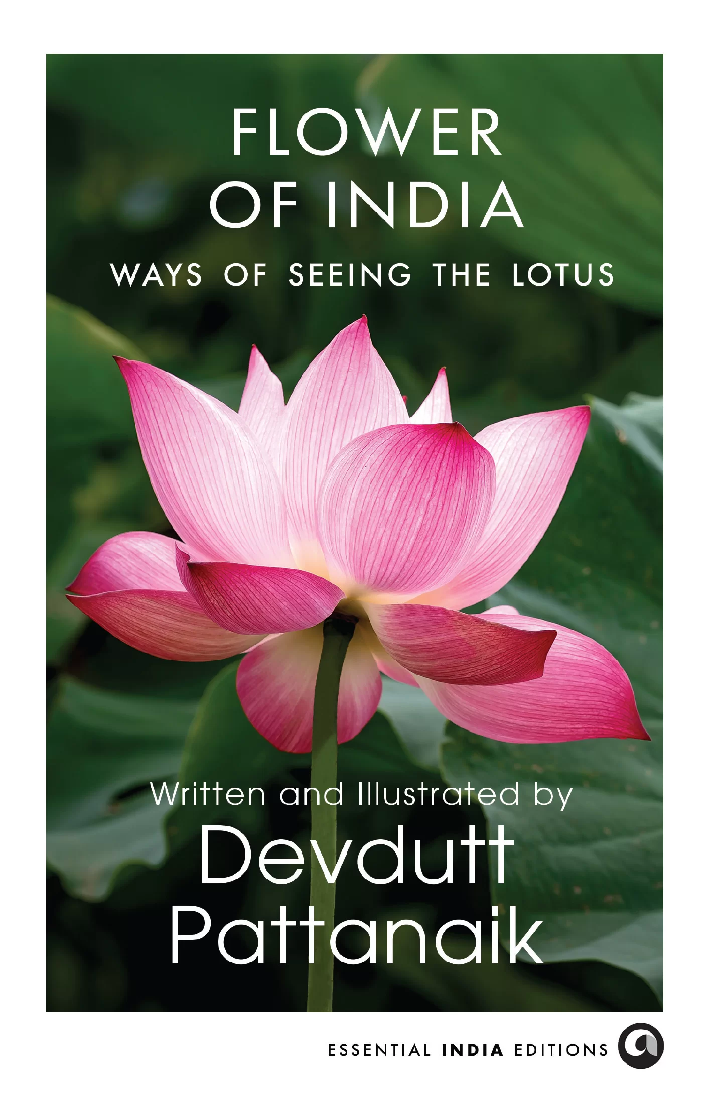 A Flower That Holds a Civilization